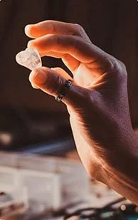 DEGREE PROGRAMS B.sc