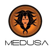 Medusa logo